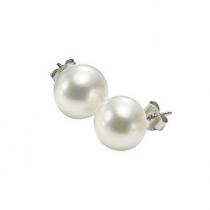Silver F/W Pearl Earrings/FWPS9.5
